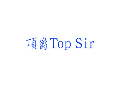 顶爵 TOP SIR