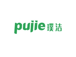 璞洁